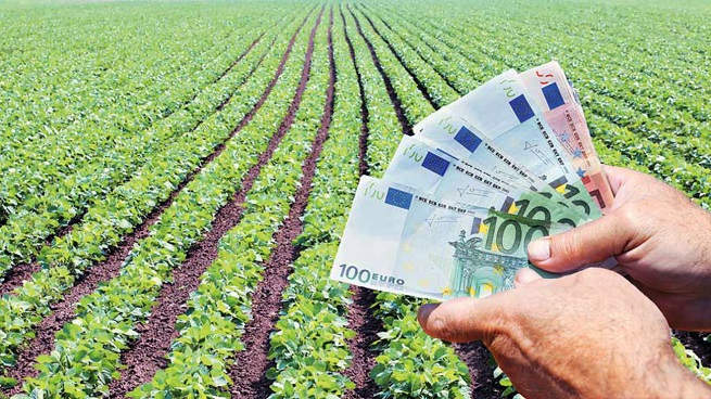 ΑΓΡΟΤΙΚΕΣ ΕΠΙΔΟΤΗΣΕΙΣ