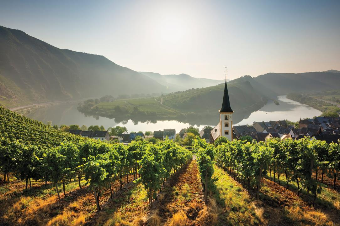 PROWEIN