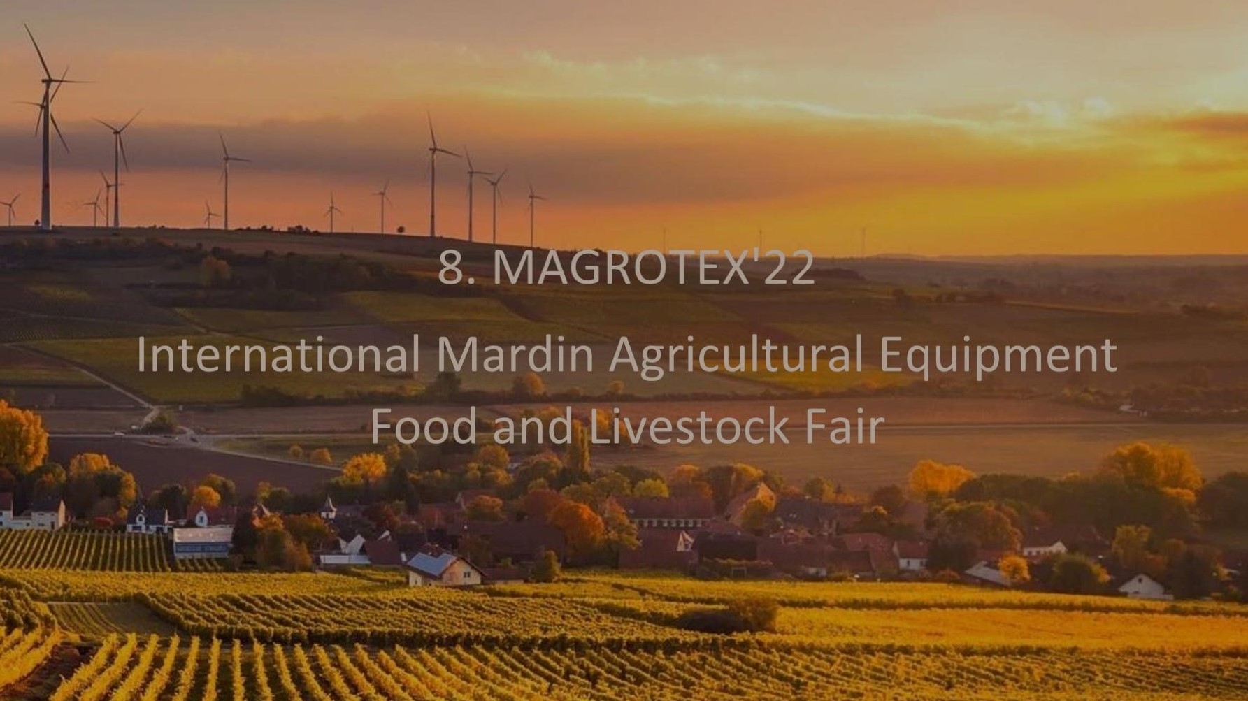 MAGROTEX 22 1
