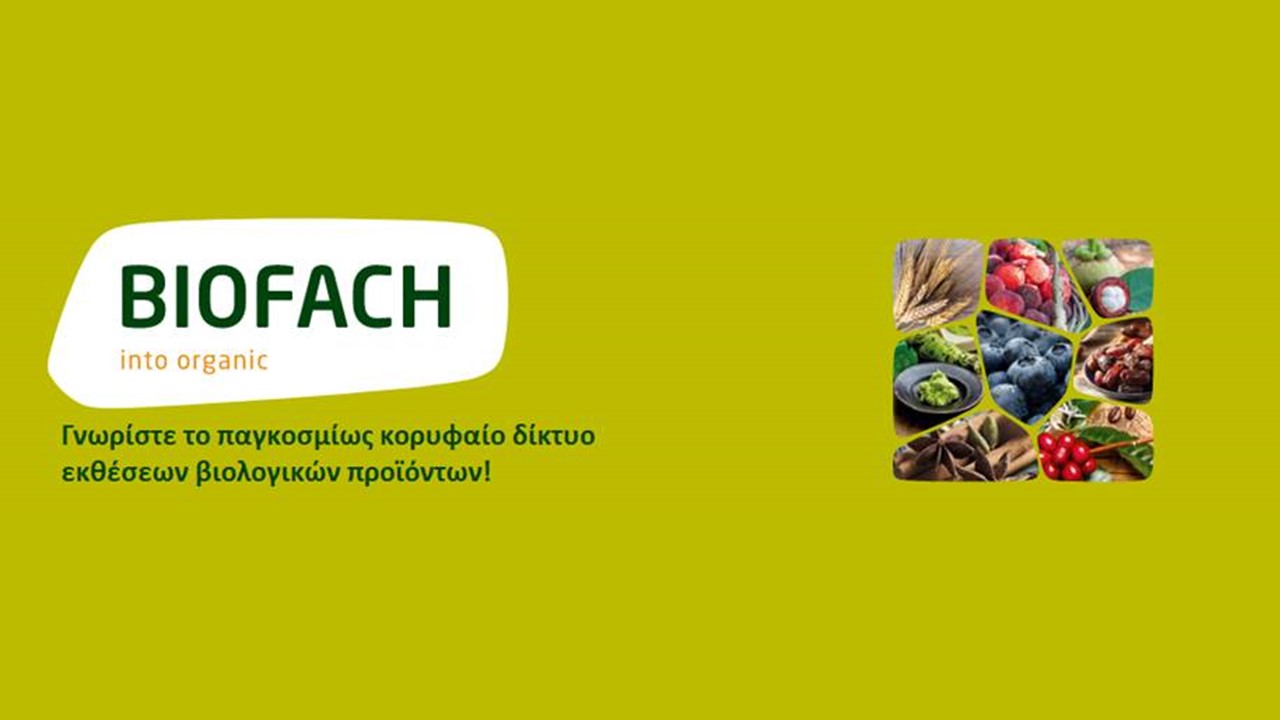 Διαφάνεια2 1
