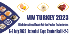 viv 2023