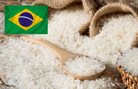 rice brazil