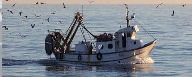 Πρόσκληση υποβολής αιτήσεων χρηματοδότησης επενδυτικών σχεδίων στη δράση  2.1.1 «Παραγωγικές Επενδύσεις στην Υδατοκαλλιέργεια» του Προγράμματος Αλιεία, Υδατοκαλλιέργεια και Θάλασσα (ΠΑΛΥΘ) – Αιτήσεις έως 30/06/2025