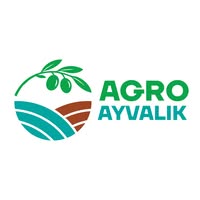 557687405_10163725933803919_8205078011215573658_n