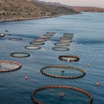 ΥΔΑΤΟΚΑΛΛΙΕΡΓΕΙΑ