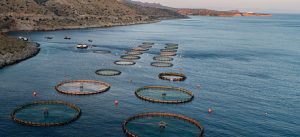 ΥΔΑΤΟΚΑΛΛΙΕΡΓΕΙΑ