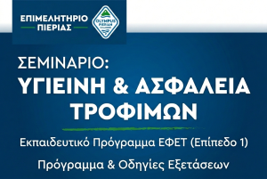 EFET_PROGRAMMA & ODIGIES