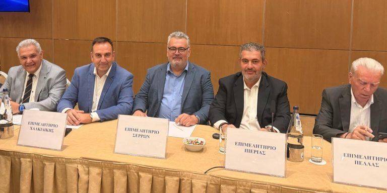 Ο Πρόεδρος του Επιμελητηρί�