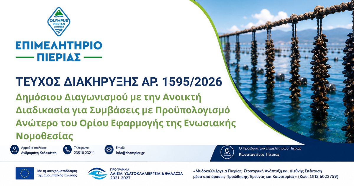 ΤΕΥΧΟΣ ΔΙΑΚΗΡΥΞΗΣ ΑΡ. 1595_2026