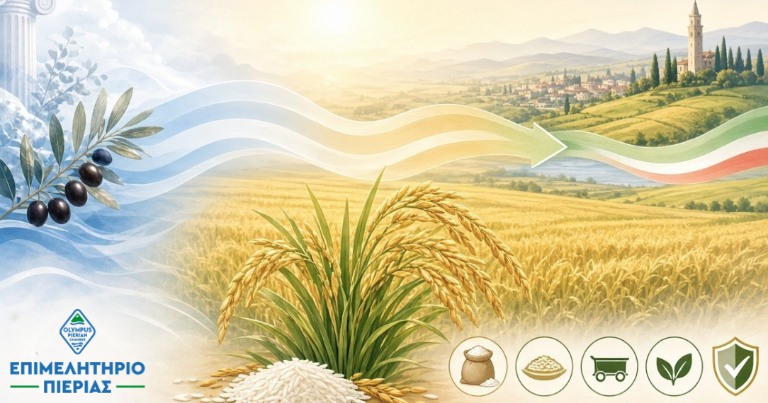 ITALY_RICE